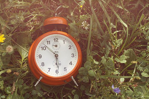 oakvilletransit's tweet photo. Reminder: clocks "spring" ahead on March 11 https://t.co/q7Lwaj3V90