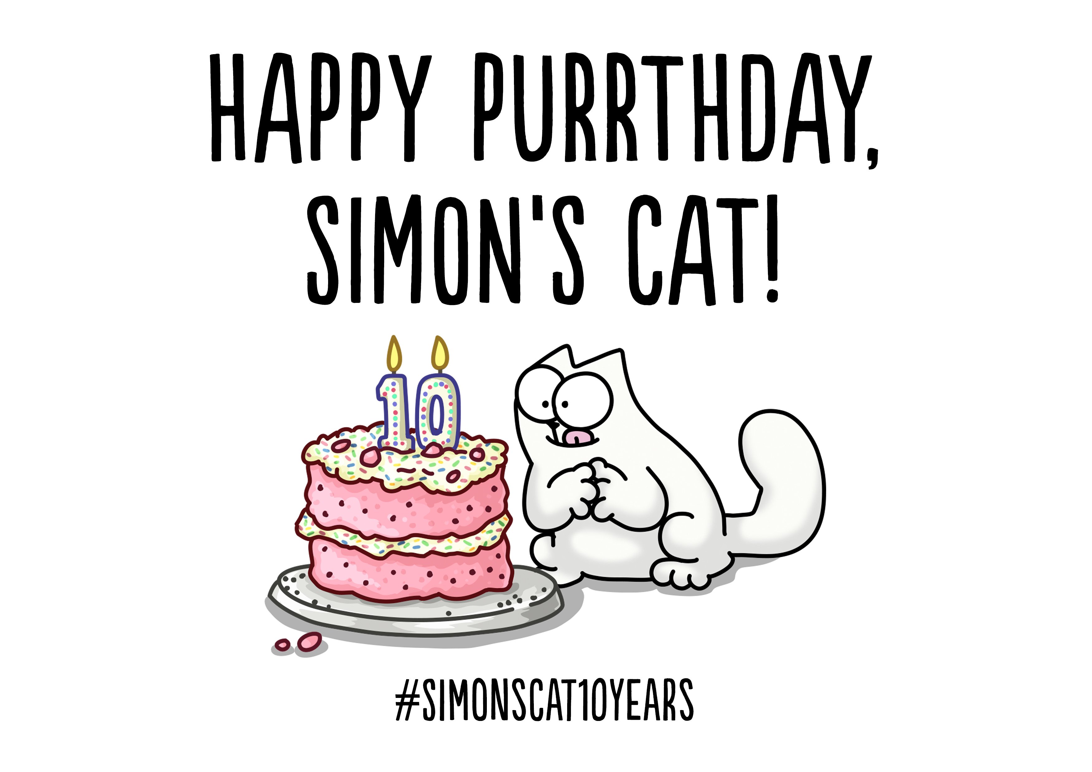 Simons Katze Geburtstag
