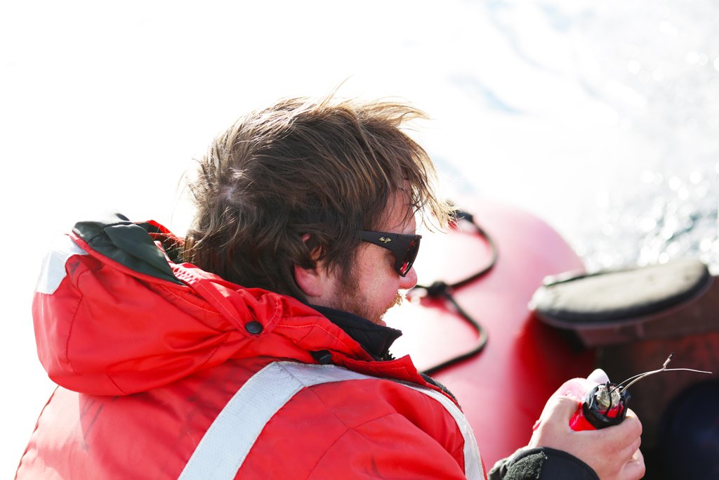 mlparkermedia's tweet image. TFW you finally recover a tag that you deployed on the first day of field work 😎 #Antarctica #fieldworkwin #marinebiology #insearchofminkes