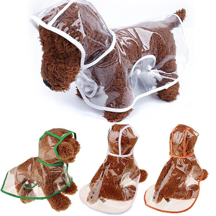 🌧 Keep your Doxie pal dry with this chic transparent raincoat. ☔️ Free shipping for a limited time. Thewagsandwhiskers.com #dachshund #rain #dogapparel