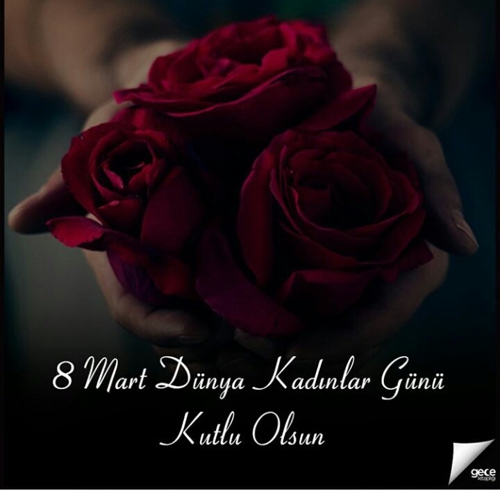 Şehri Koral (@sehrikoral) on Twitter photo 