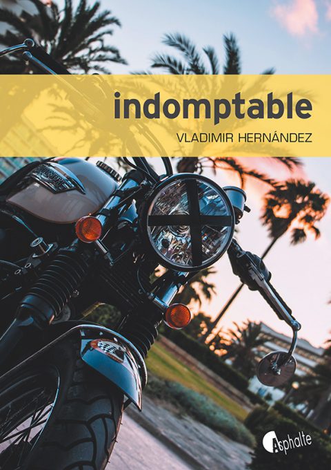 GALESRobert1's tweet photo. @asphalte Chronique "Indomptable", Vladimir Hernandez "Roman brutal, vengeance et corruption" https://t.co/RG91OTDIIP https://t.co/PXvXOzoTpa