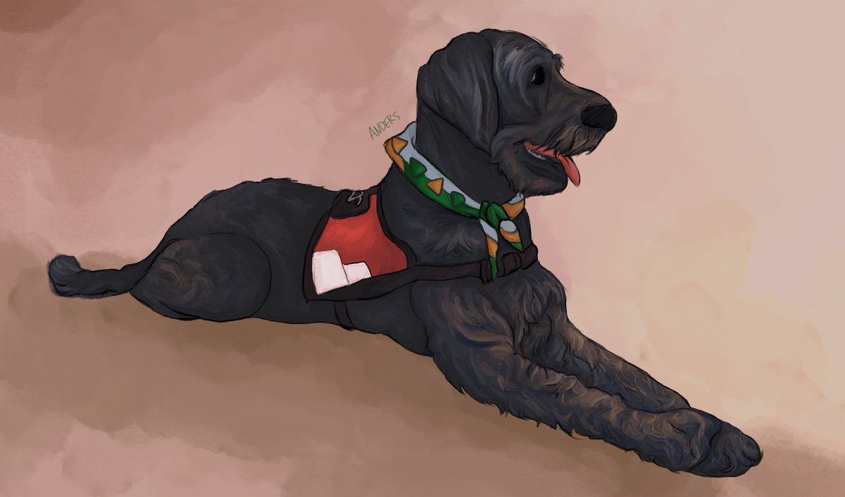 HumanishAlien's tweet photo. Good morning, the dog is finished https://t.co/nL6ENrdPAg
