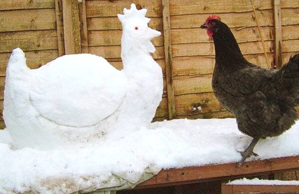 Wishbone tweet media