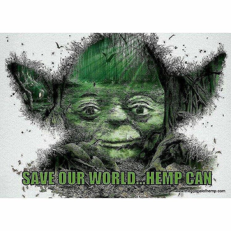 Hemp_Lords's tweet photo. https://t.co/wXKG7euEbp https://t.co/OW30jmwZ9e