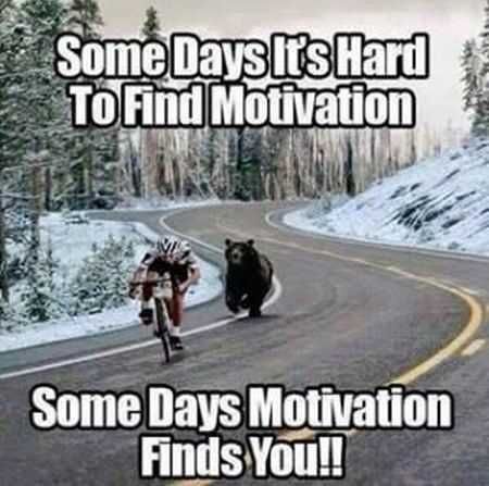 #wednesdaymotivation