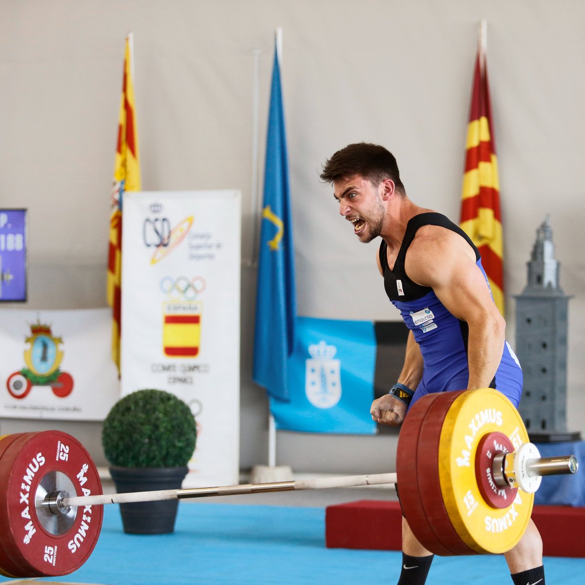 MaximusCR's tweet photo. Hay pocos combustibles más eficaces que la adrenalina, domínala y serás invencible.

#MaximusBeStronger #MaximusCrosslifting #Weightlifting #MaximusCompetitionSeries https://t.co/IdC8g0pT19