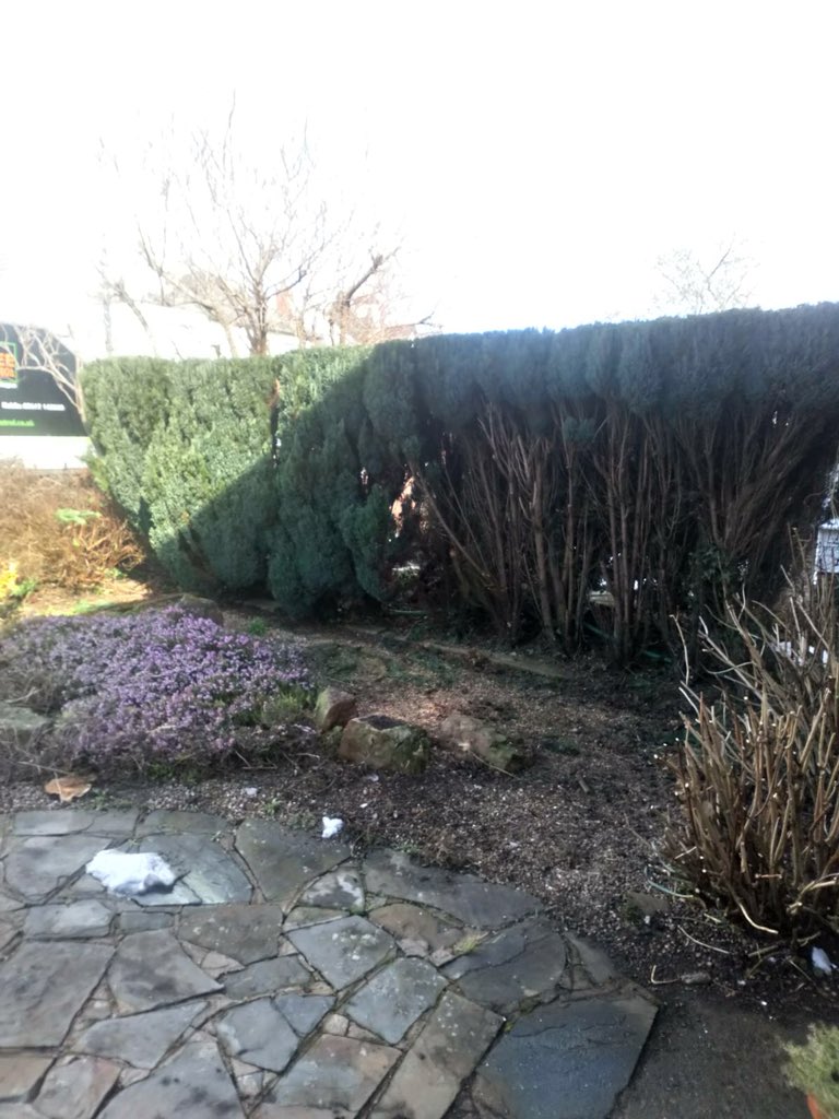 treecontrol8's tweet photo. Lovely day to be out CONTROL-ling #trees, #hedges and #shrubs in #Cardiff.
If we may be of help to you, please tel. 02920615722
( Free quote).
#treesurgeonscardiff #rhiwbina #gratefulforafineday https://t.co/PeTMlyk0ni