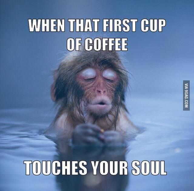 suziday123's tweet image. When that first cup of #coffee touches your soul 🙌☕️ Happy #HumpDay everyone! @cazij @Cbp8Cindy @hmgivingsoul @drahus11 @Darylmatla @BoabyD67 @CaraMiaSG @magee333 @simplysallyh @oord_van @StreetFoodUK @ccatmpt @ja2cook @pjervis @FreshRoasters @jillianne_gray #WednesdayWisdom