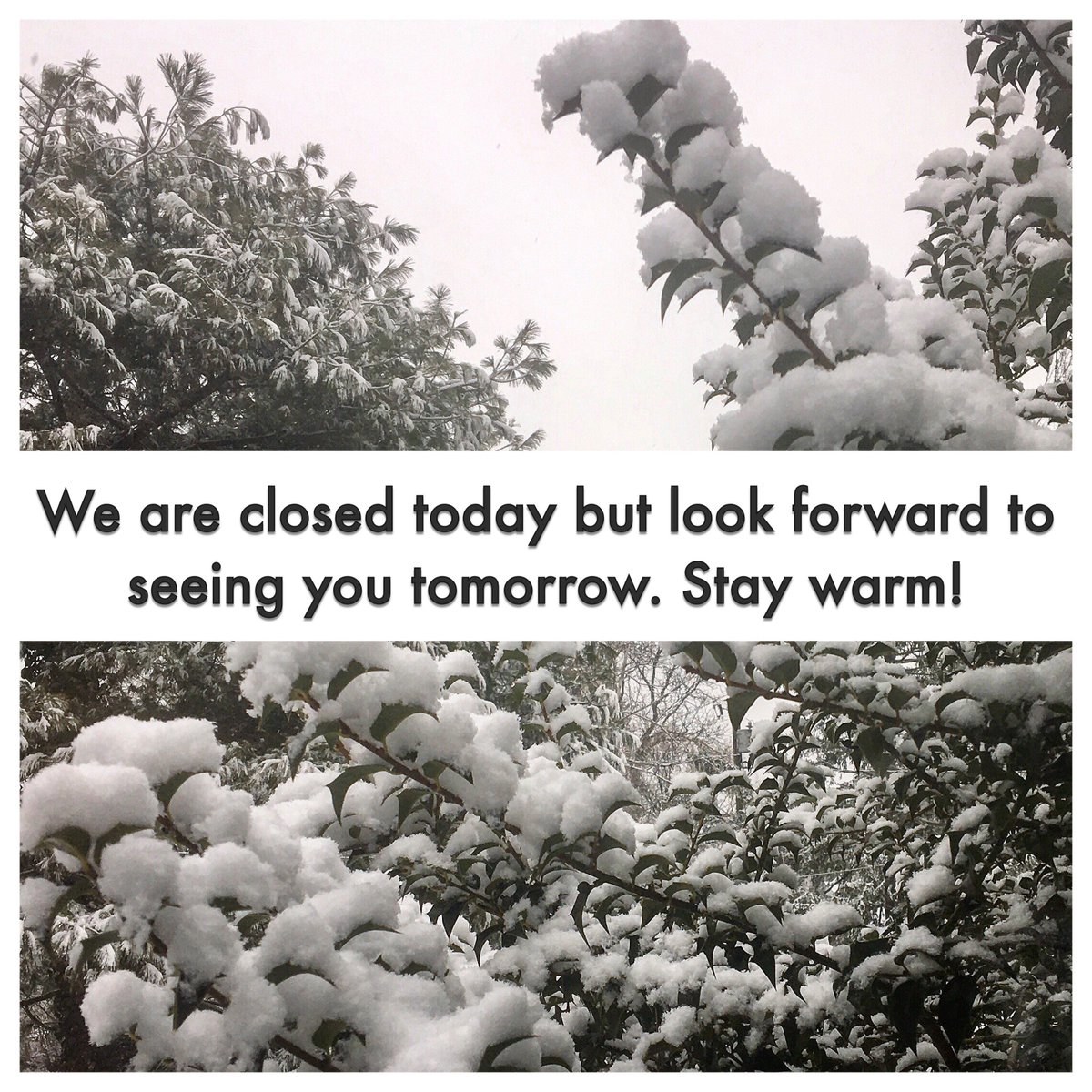 See you all tomorrow #Quinn #SnowStorm #WinterStormQuinn #newcanaan