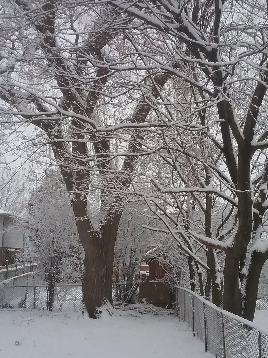 thePHPM's tweet photo. Snowy morning.  Again with the boots, gloves, shoveling... https://t.co/Jklljtx7Y1