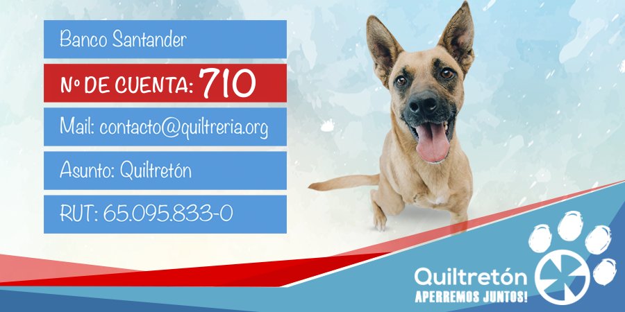 Quiltreria's tweet photo. @AmoxTodo @PiensaPrensa Hola Julieta, los datos están en la imagen. Muchas Guau-cias por colaborar con nosotros :) https://t.co/ZPYNX35Fmm