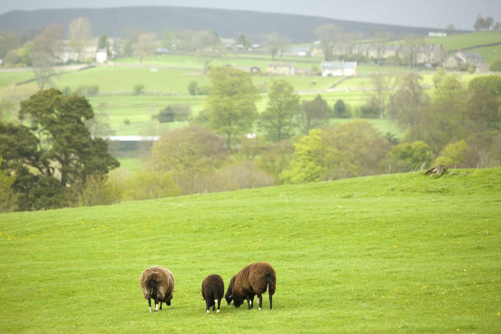 therandc's tweet photo. Now that the weather's getting better, what about a lovely break here in #teesdale - special one-night DBB break in March - https://t.co/aUTjVjSMIQ https://t.co/eJkXWftqCD