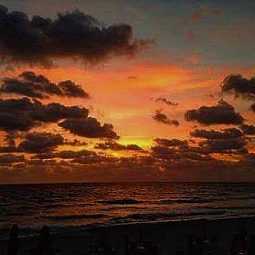 PalmBeachesFL's tweet photo. Every morning is an inspiring moment when you take a #sunrise walk in #ThePalmBeaches.  Find your spot on our 47 miles of coastline: https://t.co/oxScu4GQta  Photo: @viphostanthony on IG https://t.co/MO1UvWt8dK