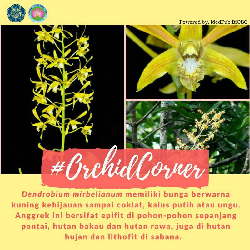 BiOSC UGM tweet media