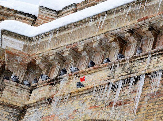 siba146's tweet photo. Mi sento diverso....brrr https://t.co/bSf0jXEMsm
