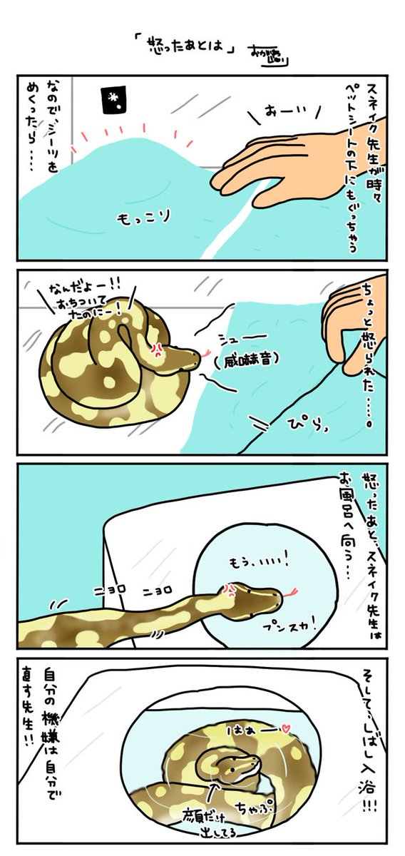 ボールパイソンのtwitterイラスト検索結果 古い順 ボールパイソンのtwitterイラスト検索結果 古い順