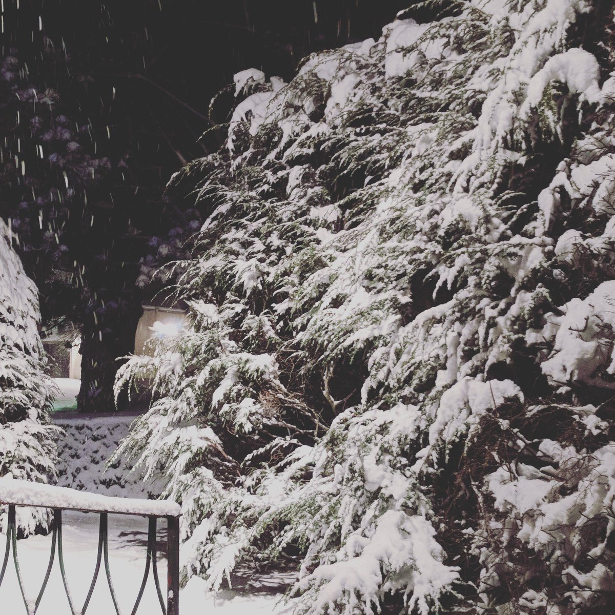 Due to the inclement weather, Cold Creek Brewery will be closed today, Wednesday the 7th. We'll make another announcement if we end up canceling for tomorrow.