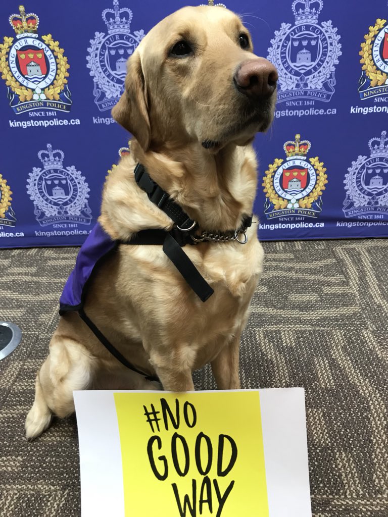 KP_Community's tweet photo. The “R” word makes Vern very sad. If he could speak he would tell you there is #NoGoodWay to use it.  Help Vern stop the use of this unkind and inappropriate word. @KingstonPolice https://t.co/KMavJHuT7i