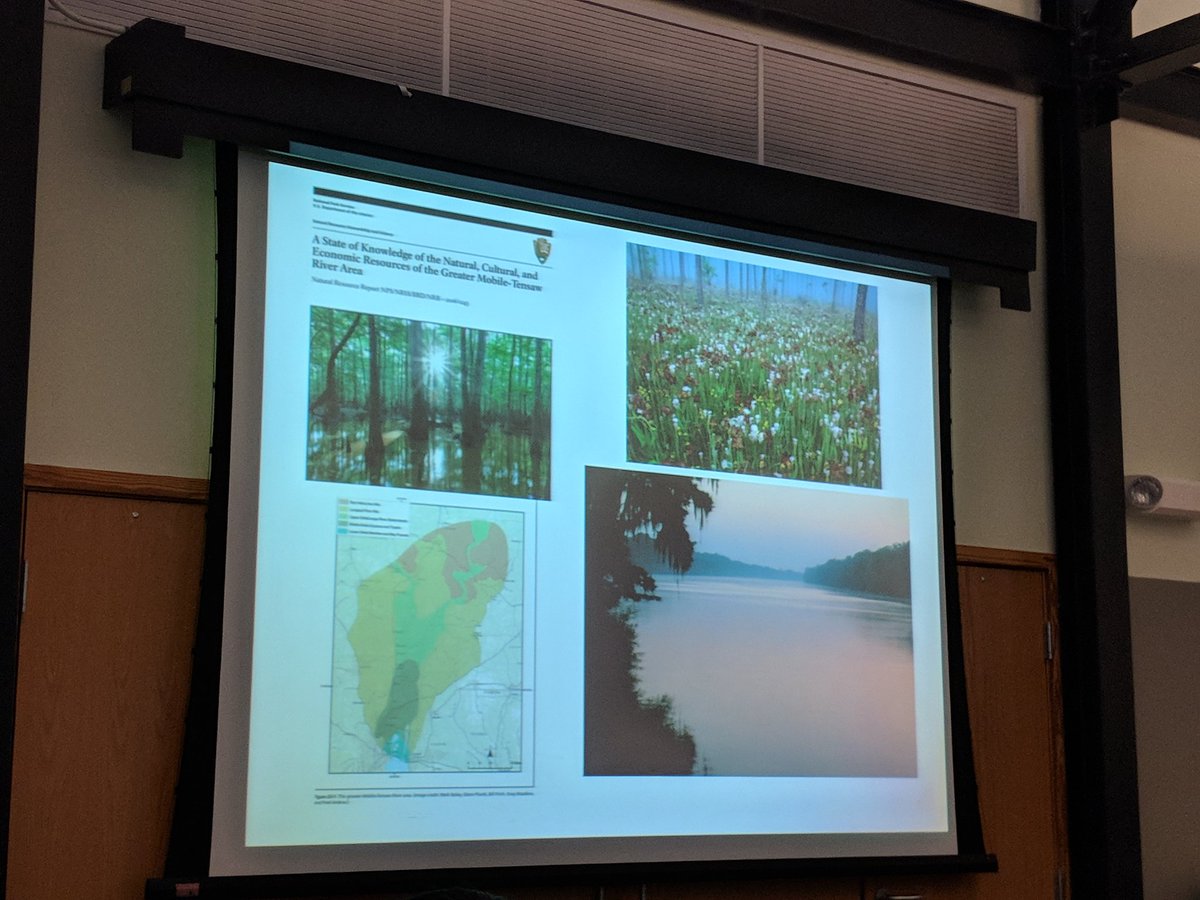 ErinSChen's tweet photo. Importance of understanding biodiversity in the Mobile-Tensaw Delta @natureserve @EOWilsonFndtn #SEBCF https://t.co/vjtt8QDTAH