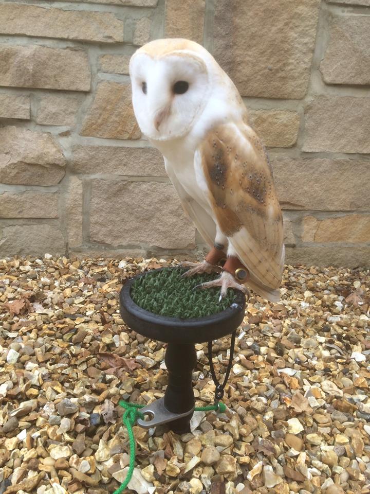 PerfectDayWeddingFairs tweet media