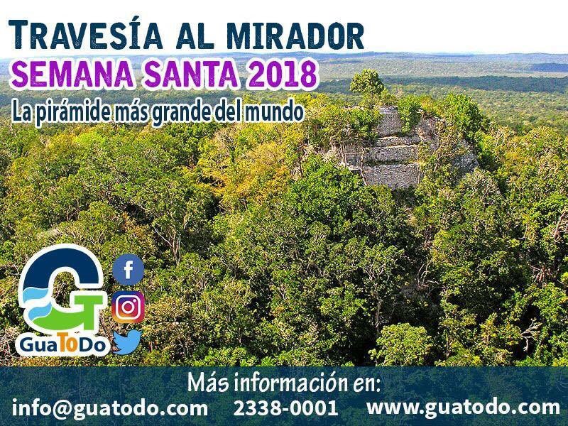 guatodo tweet picture