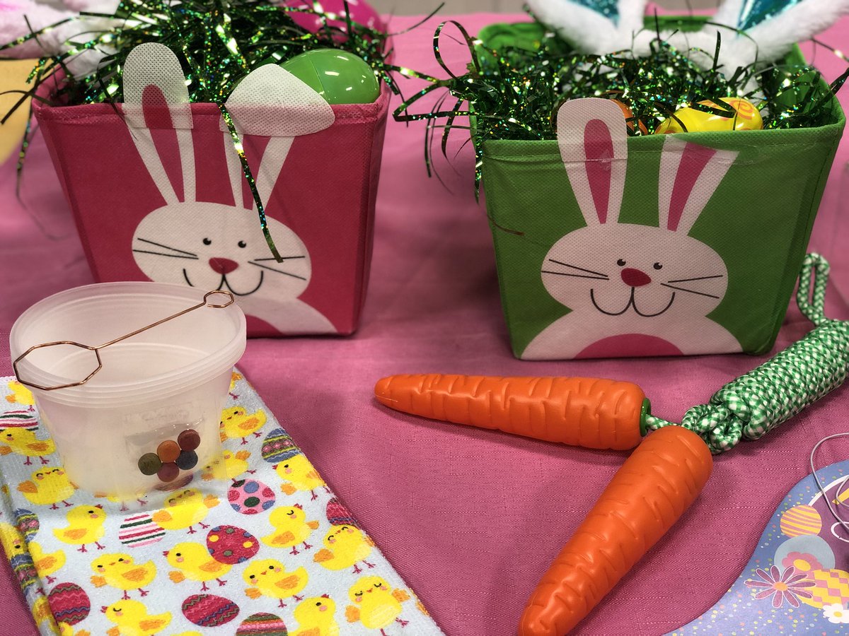 nicole feliciano tweet media