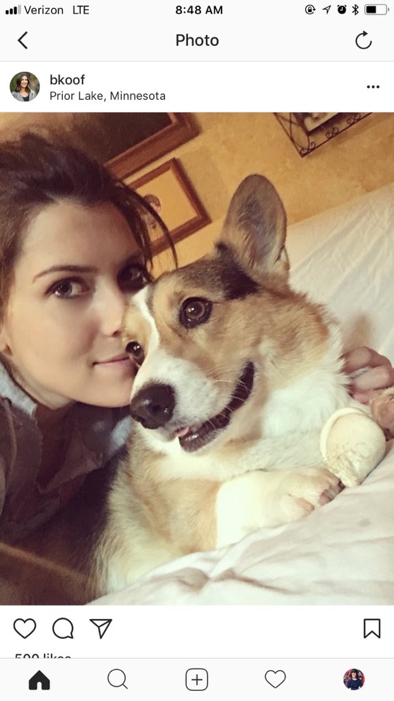 chelseacmakeup's tweet photo. So she totally deserves to be #thebachelorette for obvious reasons, but I just realized that @thebkoof owns a corgi and now she’s legit the greatest bachelorette of all time https://t.co/dmeJhkTRN5