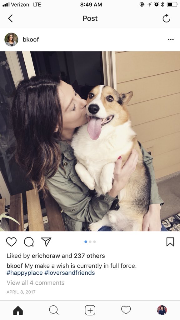 chelseacmakeup's tweet photo. So she totally deserves to be #thebachelorette for obvious reasons, but I just realized that @thebkoof owns a corgi and now she’s legit the greatest bachelorette of all time https://t.co/dmeJhkTRN5