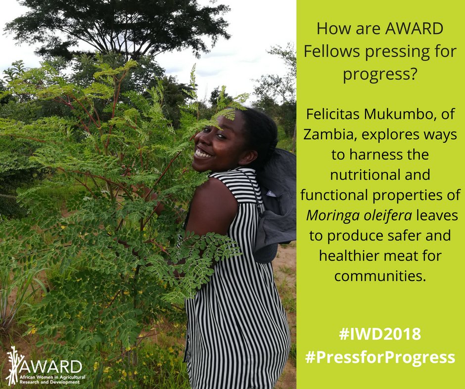 Tomorrow is International Women's Day! How will you celebrate? 
#PressforProgress #IWD2018