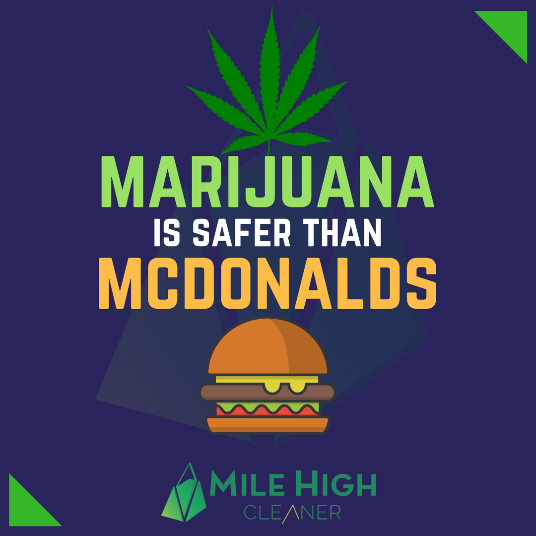 MileHIGHCleaner's tweet photo. 😍 TRUE - Are you agree with this? 😍
#MileHighCleaner #Denver #Marijuana #ResinRemover #WeedCleaner #Weed #PipeCleaning #BongCleaning #Cannabis #WeedFacts #CannabisCommunity #MarijuanaQuote #MedicalCannabis #WeedHumor #ganjaman #stoners #cannabisseeds #cannabisinfused https://t.co/BPrA65FIc3