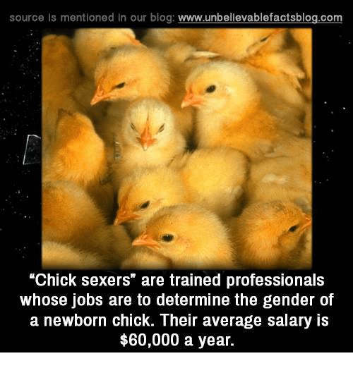 GenderWahnsinn's tweet photo. #GenderMemes
#chick #sexer
#Gender #Prefessional #Job
#60k #salary https://t.co/hCINYXhtJU