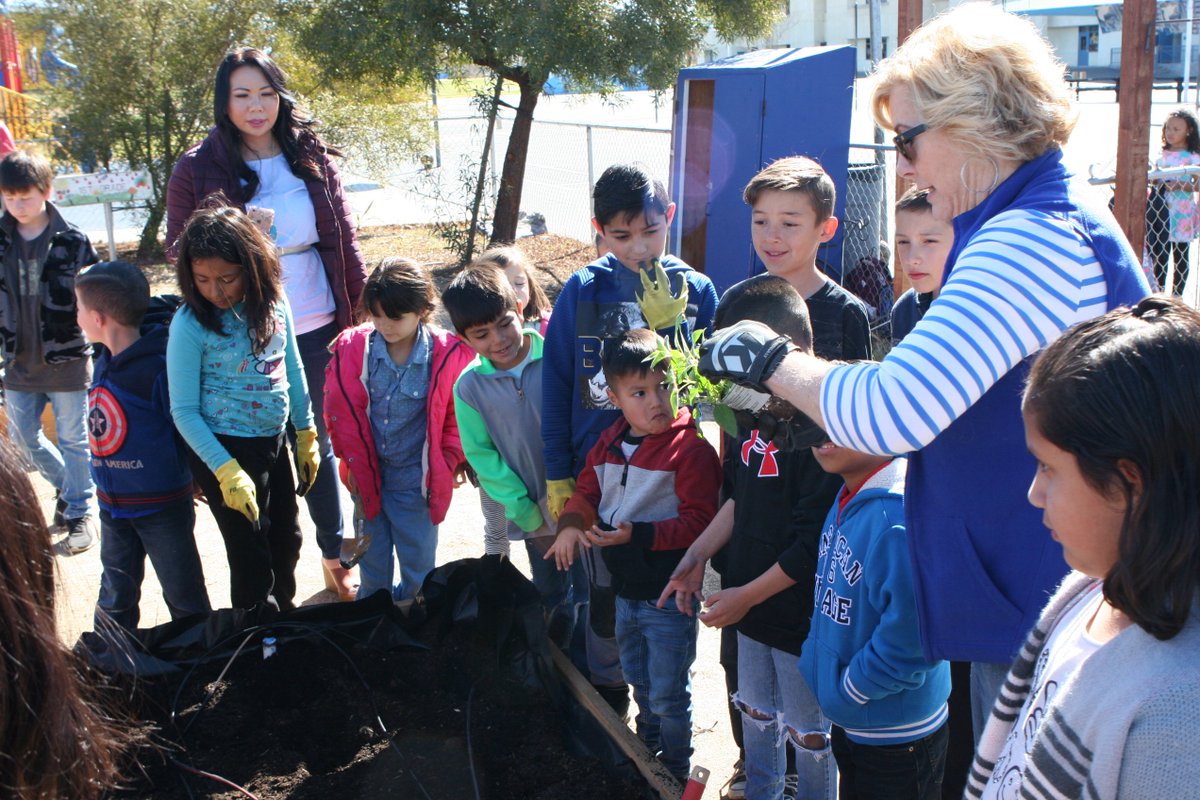 orion_goe's tweet photo. #ValVerdeUSD elementary school students prepping and planting their newly re-built raised gardens with donated @TheToroCompany drip irrigation products. #ToroIrrigation #ToroGives #Torowatersmart https://t.co/Og8Cukw0HO