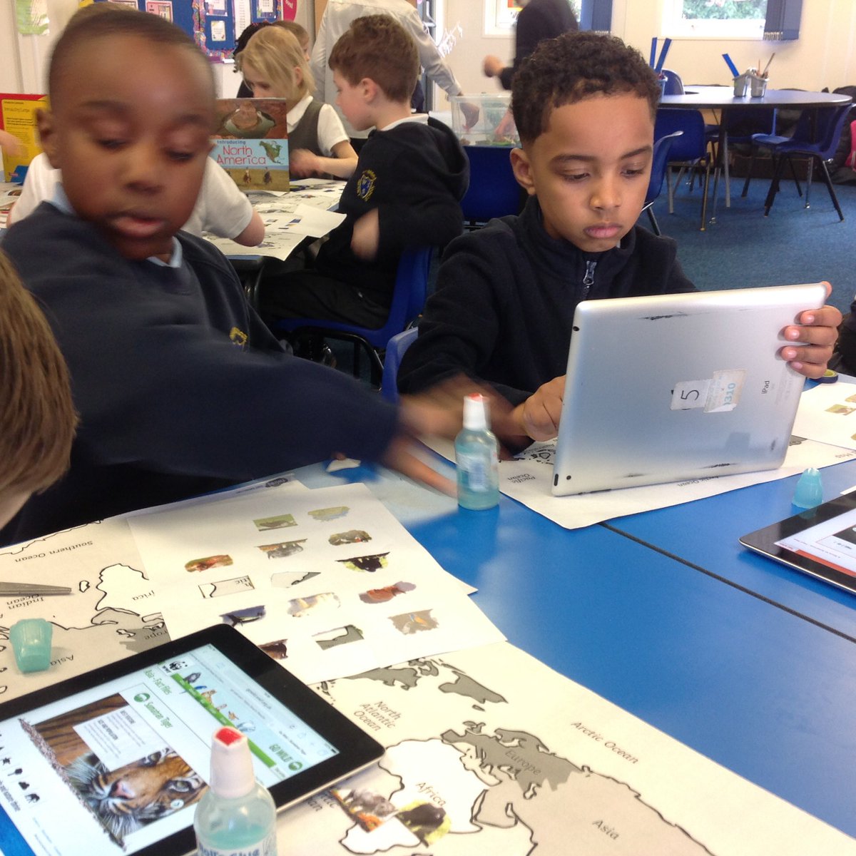WhybridgeInfant's tweet photo. Sycamore class are spending their afternoon sorting landmarks and animals by their habitat or continent #learningthroughteamwork https://t.co/pgYayfswhl