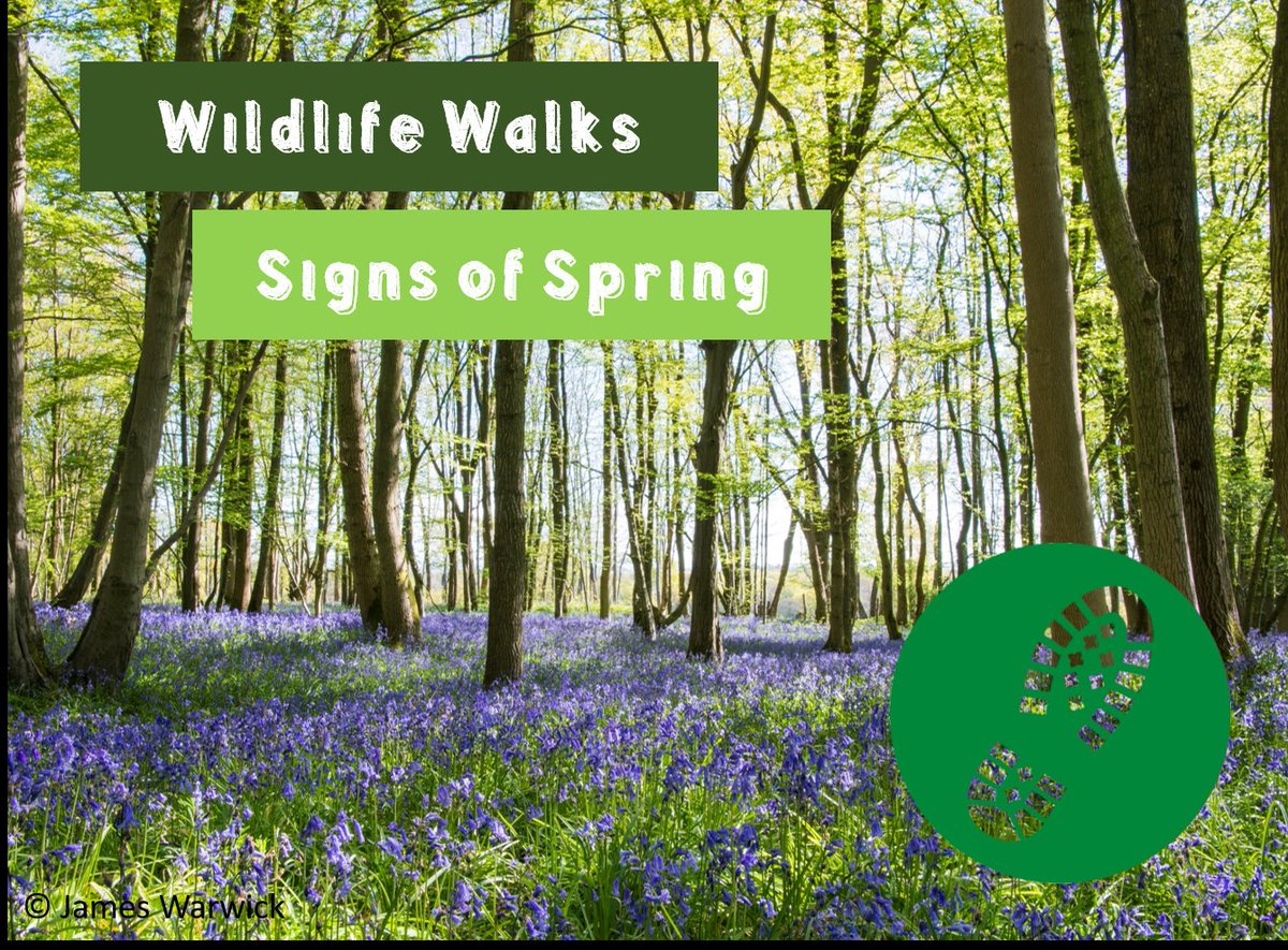 This week we are focussing on #wildlifewalks and looking for the first signs of spring! What's putting a spring in your step this week? @LancashireCare @Lancswildlife 🌱🌻🥀🐝