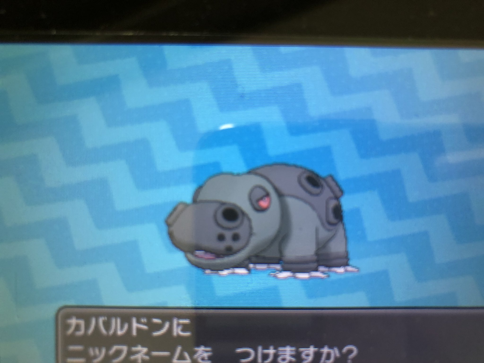 たひー レプリカ ライコウに続いてカバちゃんの色違い ポケモン 色違い T Co Zc2zs9fyg5 Twitter