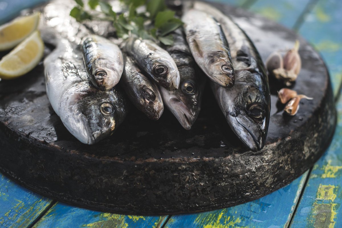saludabit's tweet photo. Omega 3 y depersión, otra controversia sobre la salud y los alimentos https://t.co/Tpc9uXTbRU #omega3 https://t.co/vcOlwSPOT2