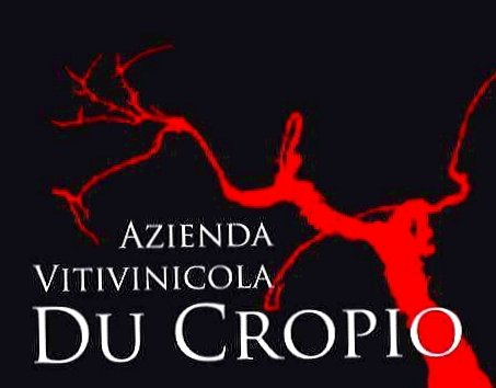 Ducropio's tweet photo. Dall'audacia nasce l'eccellenza...
DU CROPIO VINERY
#DuCropioVinery #Calabria #Gaglioppo #WineWednesday #winelover #wineglass #WineTours #wine https://t.co/WnMfhvLw4G