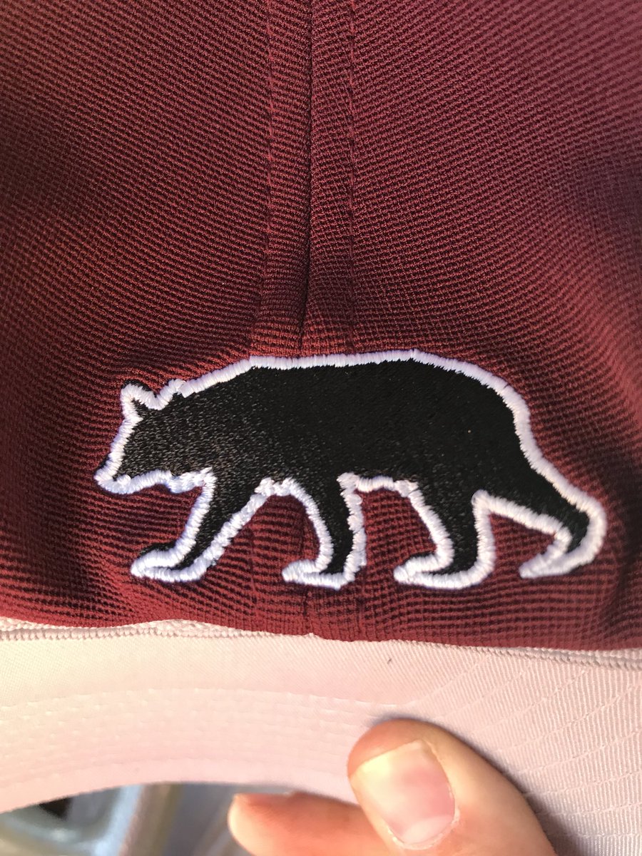 tpbaseballbears's tweet photo. New Hat Swag! 🔥🔥🔥⚾️💯%  #Filthy #ThrowbackLogo #BearForLife https://t.co/yZc0ldGUKg