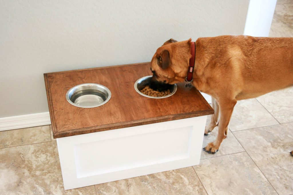 FarrowPest's tweet photo. Create the perfect dog food station for your furry friend! 🐶 https://t.co/qEYY2gJzgv https://t.co/3u8ERAFJcG