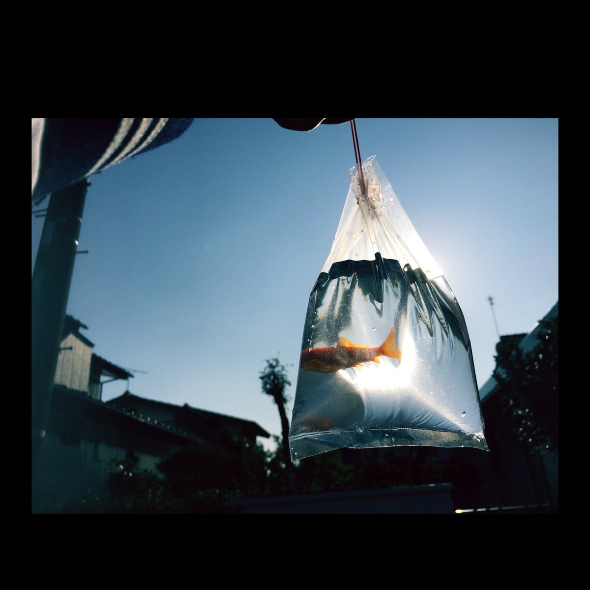 Yuri_Tsunematsu's tweet photo. 血まみれのオフショットばかりありますが、笑
怖いだけの映画ではないので、怖がらずに見て下さると嬉しいです！☻

初めてアクションシーンにも挑戦しました！🤾🏻‍♀️🤺

もう一度見た方もまた感想などを送ってくださったら嬉しいです❣️
#散歩する侵略者 https://t.co/TbVGGtaP2n