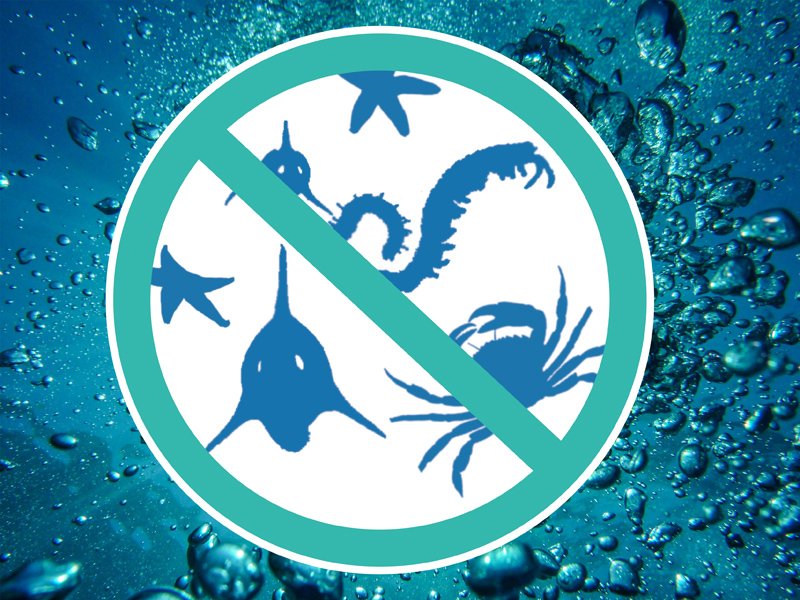 When @ICES_ASC <a href="/IocUnesco/">Intergovernmental Oceanographic Commission -UNESCO</a> and IMO get together to address the spread of invasive species: ow.ly/W0ps30iO4xd #Ocean #Science #BallastWater