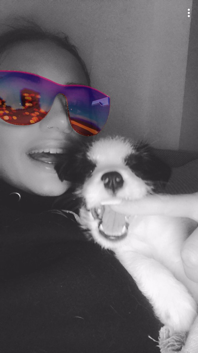 breadstall's tweet image. #CruftsExtra Lenny in da house.