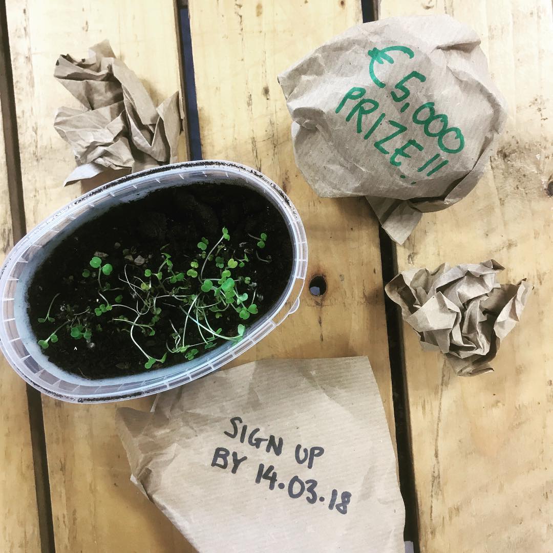 cullyandsully's tweet photo. There are only a few days left for secondary school teachers to enter their class into the free campaign we're launching with @giyireland 🌱 There are €5k worth of prizes up for grabs😜 #GROW2CEO #cullyandsully https://t.co/D1T6k8oP1U