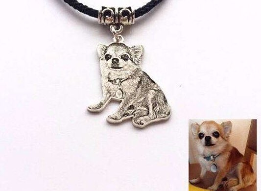 AmyWoo1101's tweet photo. Make your own custom pet photo necklace #pet #dog #jewelry #petphoto https://t.co/rqGUfN0YEx