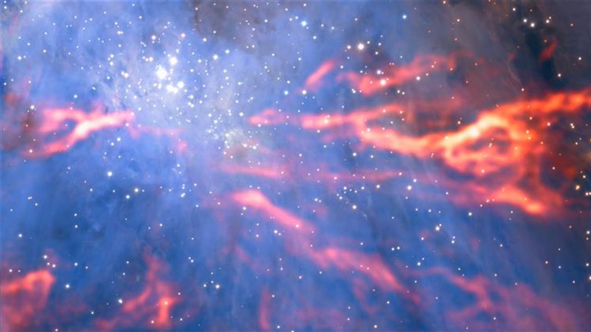 1LugaresMagicos's tweet photo. Impactante imagen de una guardería estelar en la nebulosa de Orión https://t.co/FyZ1N1itKg https://t.co/dS1y8W0m1m
