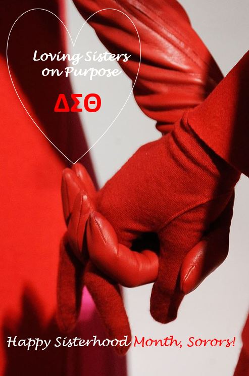 MLawsonRowe's tweet image. I LOVE my #DST. Public Service and #Sisterhood!  #SigmaMade #CACReclaimed