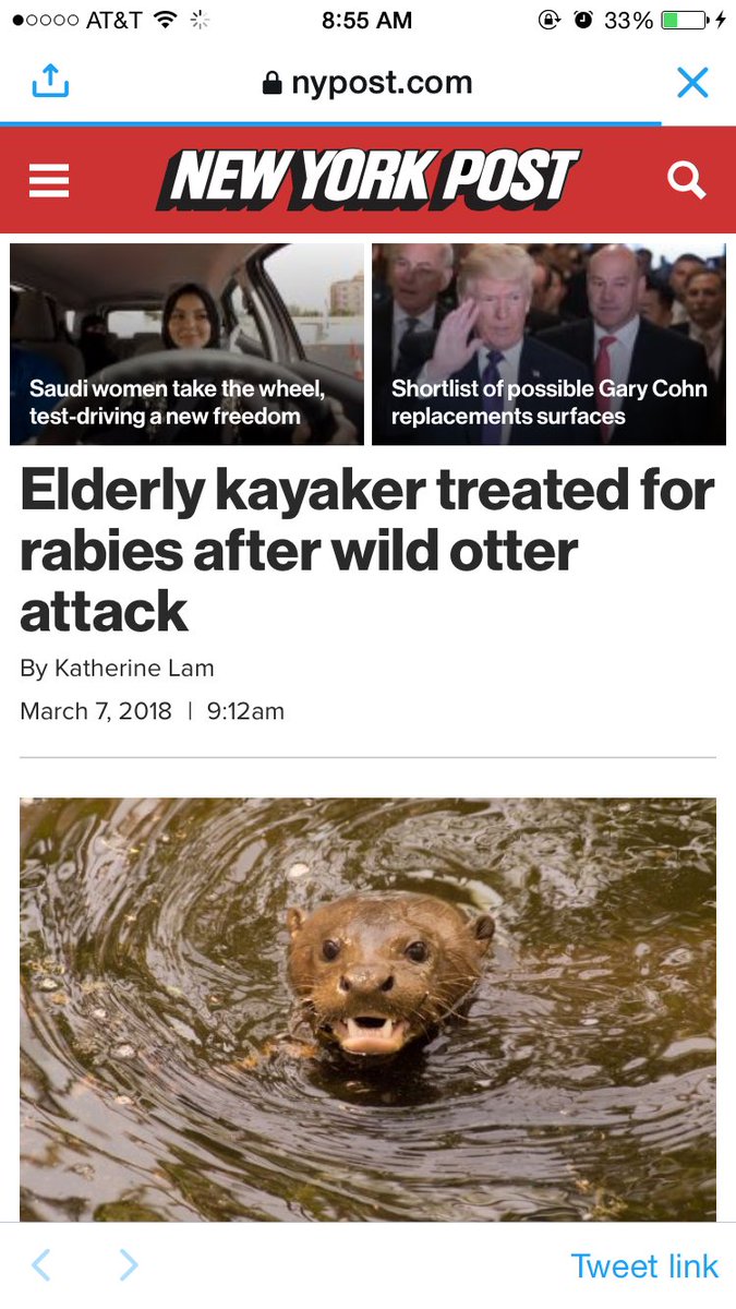 sterlingbarker's tweet photo. Not good, guys...
#Otters #OtterAttack #WaterWeasels https://t.co/cdQN42Ncxj