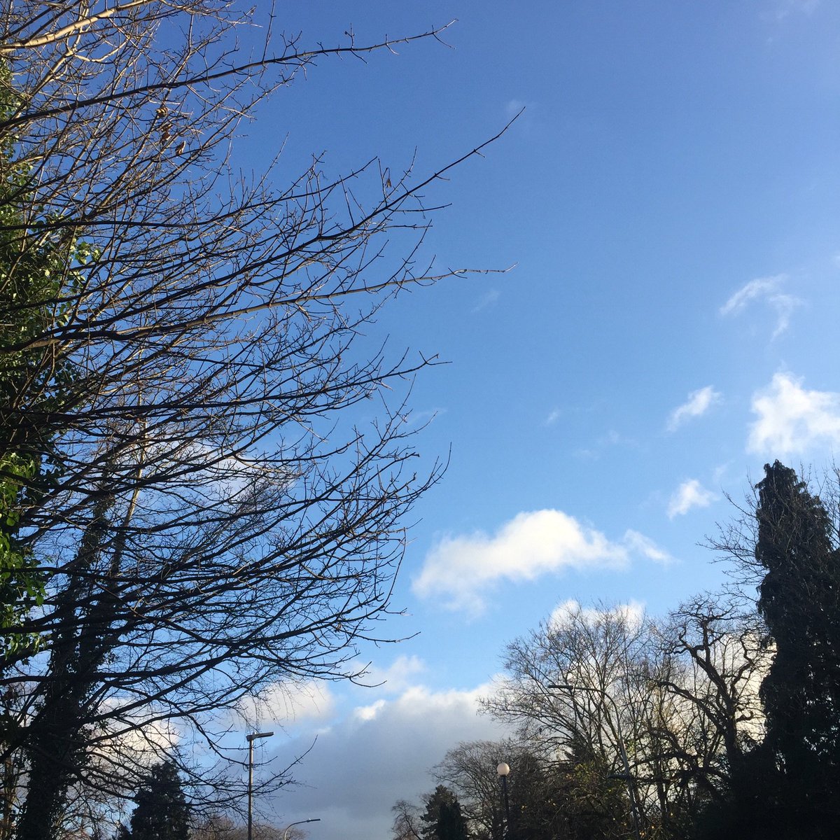 WellbeingGp's tweet photo. #WednesdayWisdom #WednesdayMotivation #exerciseismedicine
Exercising outside gives our bodies and minds a boost. And with the sunshine it gives us a some much needed Vitamin D. So make time for a walk, run or even cycling and you will feel so much better! ☀️🚴‍♂️🏃🏻‍♀️🌳 https://t.co/gBZLSwkNUY