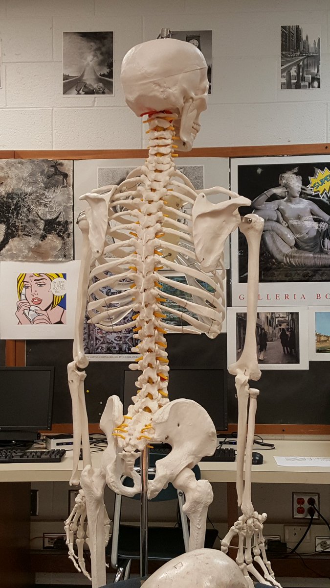 Say hello to our closet skeleton Jimmy Craig 🖐